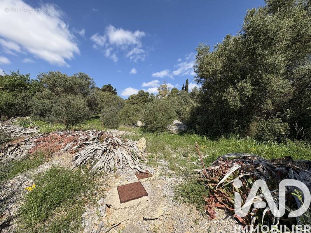 Photo 1 - Terrain à LA PALME