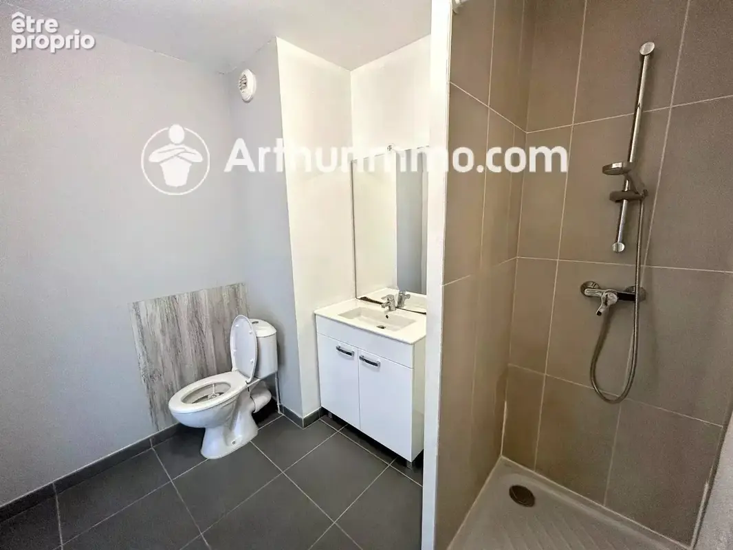 Appartement T2 avec Terrasse + Garage - ALBIGNY SUR SAONE - photo 6