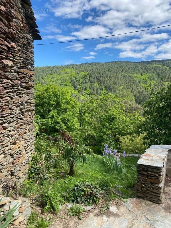 Maison de hameau à vendre SAINT MARTIN DE BOUBAUX (48) - photo 21