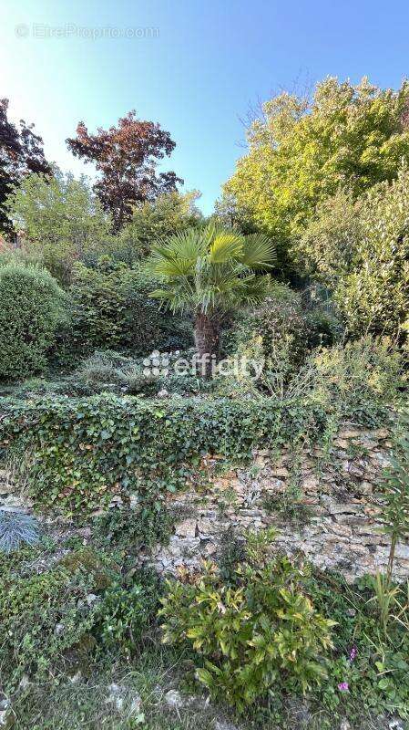 Maison à LOUVECIENNES