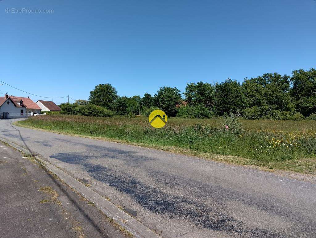 Terrain à LURCY-LEVIS