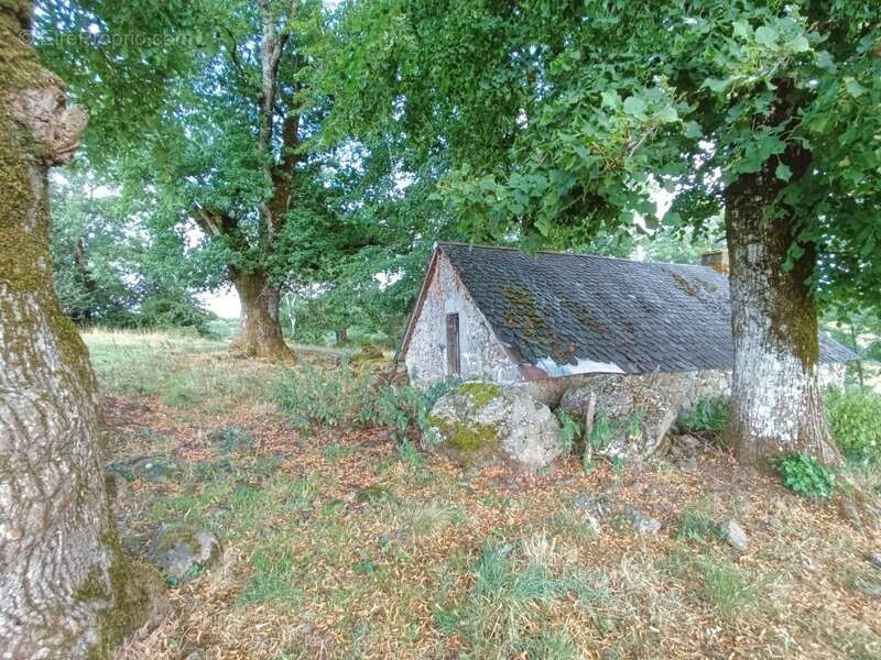 Maison à SAINT-MARTIN-VALMEROUX