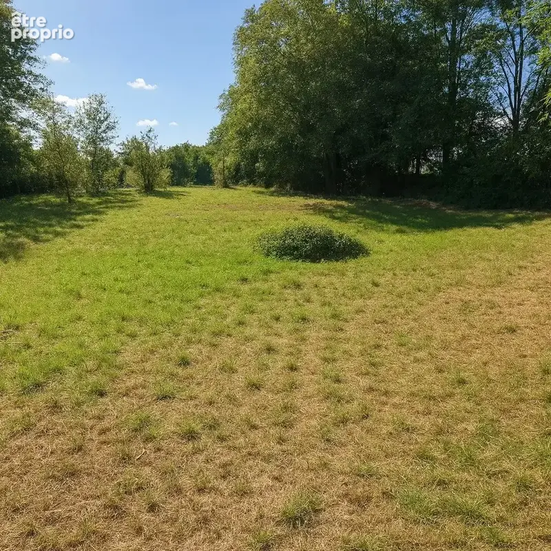 Terrain à ALLOUE