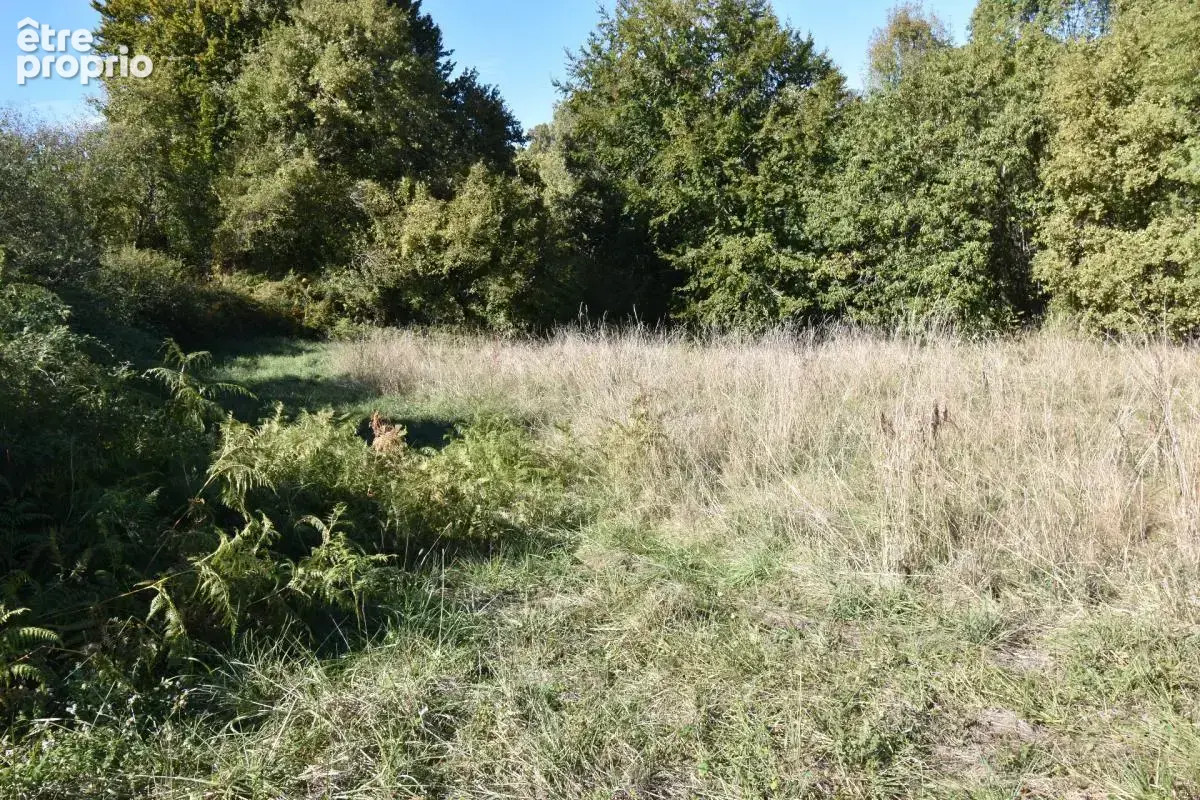 Terrain agricole de 6 610 m² LUCQ DE BEARN (64) - photo 5