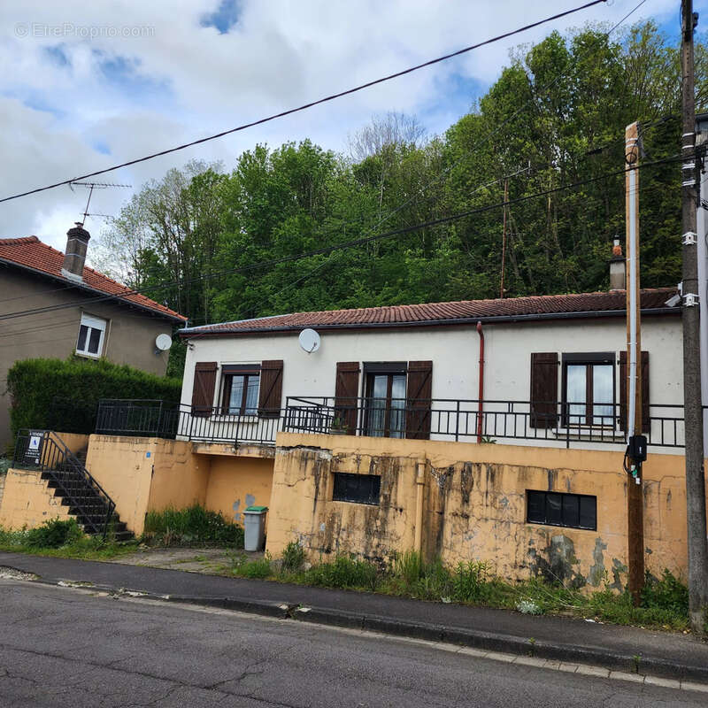 Maison plain pied, surelevee proche frontieres - photo 4