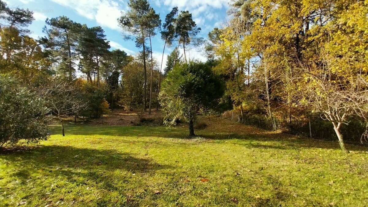 Terrain à CHANCELADE