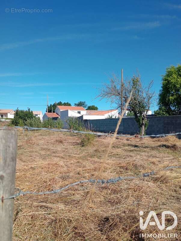 Terrain 1011 m² à La Tranche-Sur-Mer  - photo 3