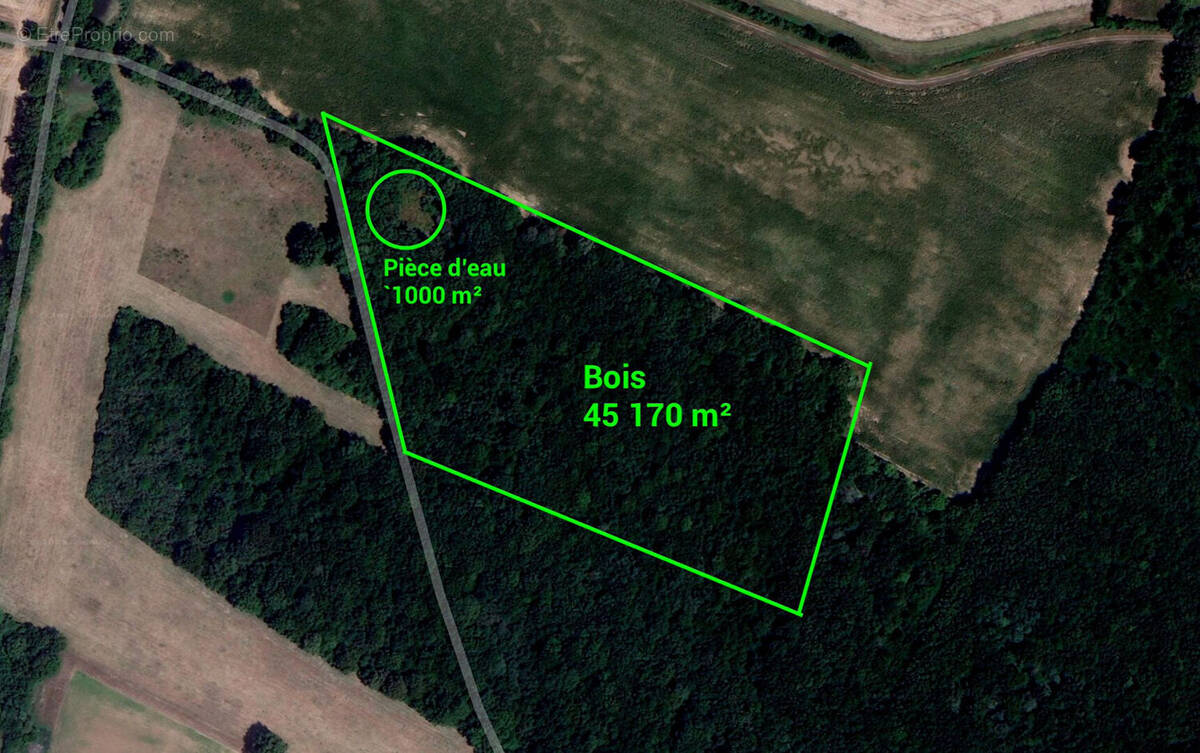 Terrain à USSON-DU-POITOU