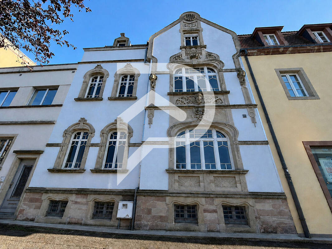 Maison de caractère 9 pièces 322 m² au centre ville de Sarrebourg. - photo 1