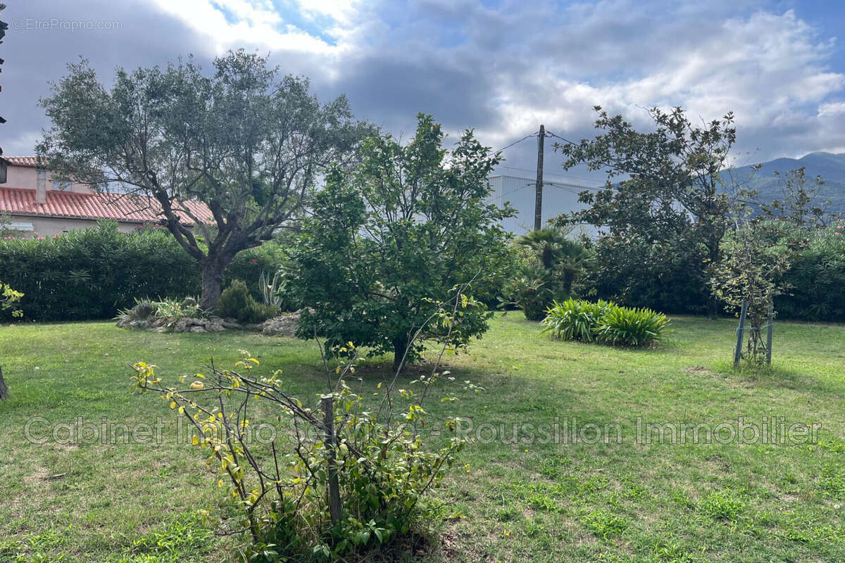 Terrain 632 m² à Ceret  - photo 9