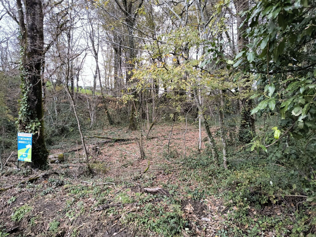 Terrain à BRIVE-LA-GAILLARDE