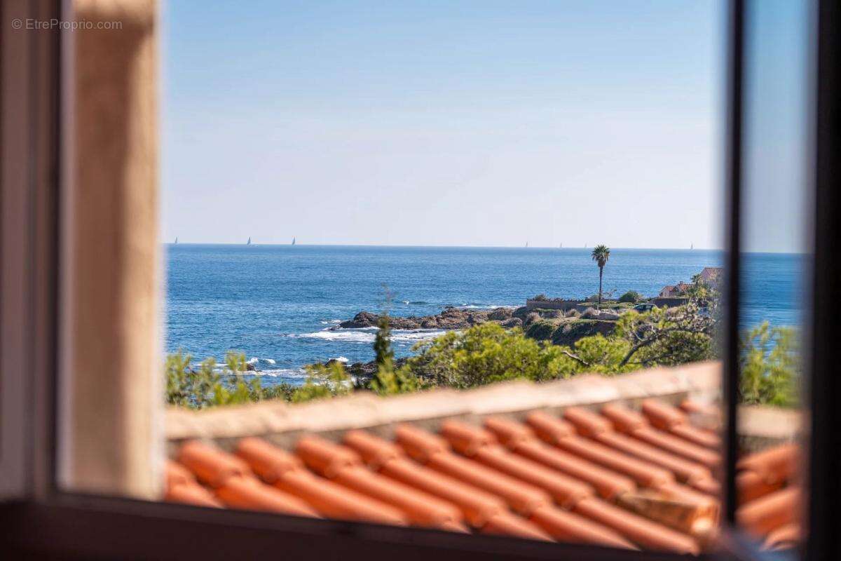 Commerce à ROQUEBRUNE-SUR-ARGENS