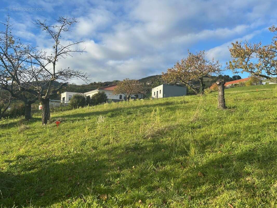 Terrain à SAINT-ROMAIN-EN-JAREZ