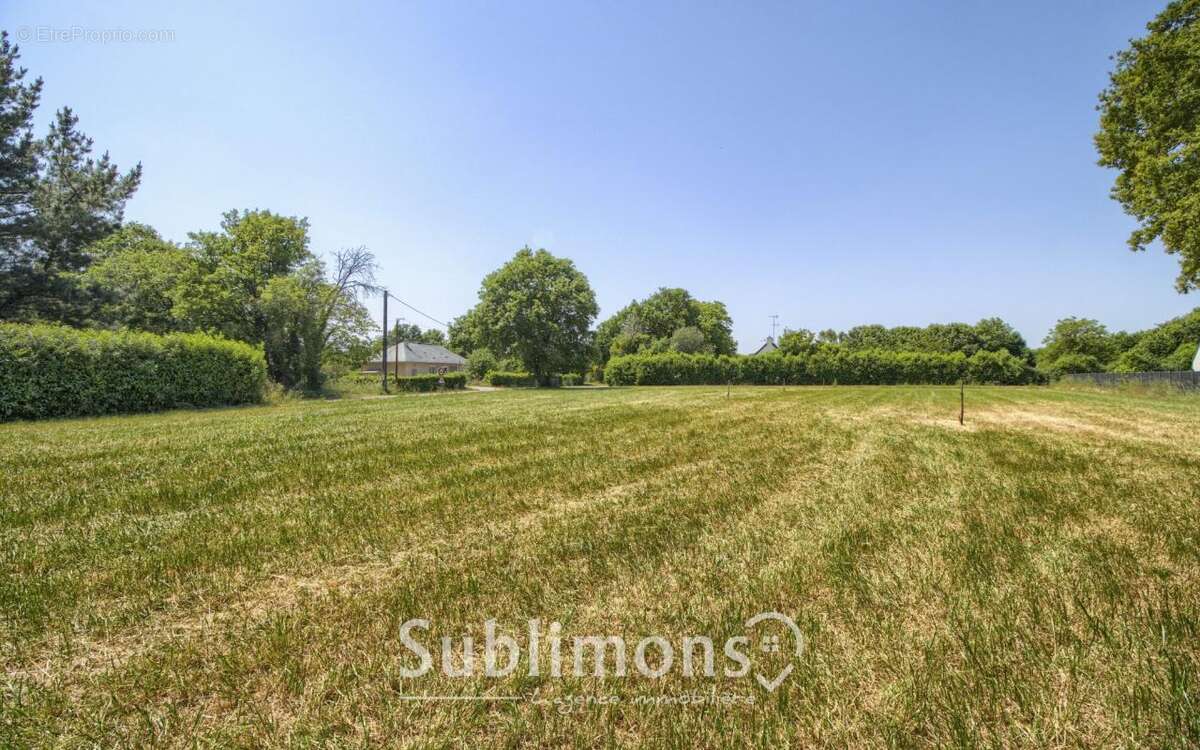 Terrain à SAINT-GILDAS-DES-BOIS