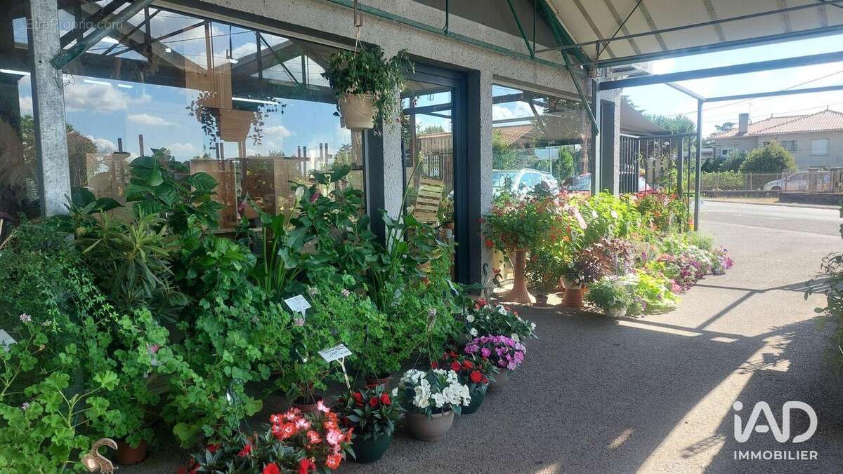 Photo 5 - Commerce à SAINT-MAGNE-DE-CASTILLON