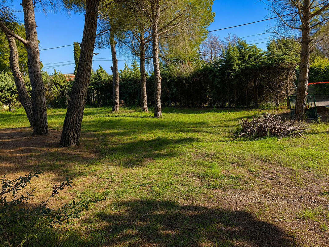 Terrain à MONTESQUIEU-DES-ALBERES