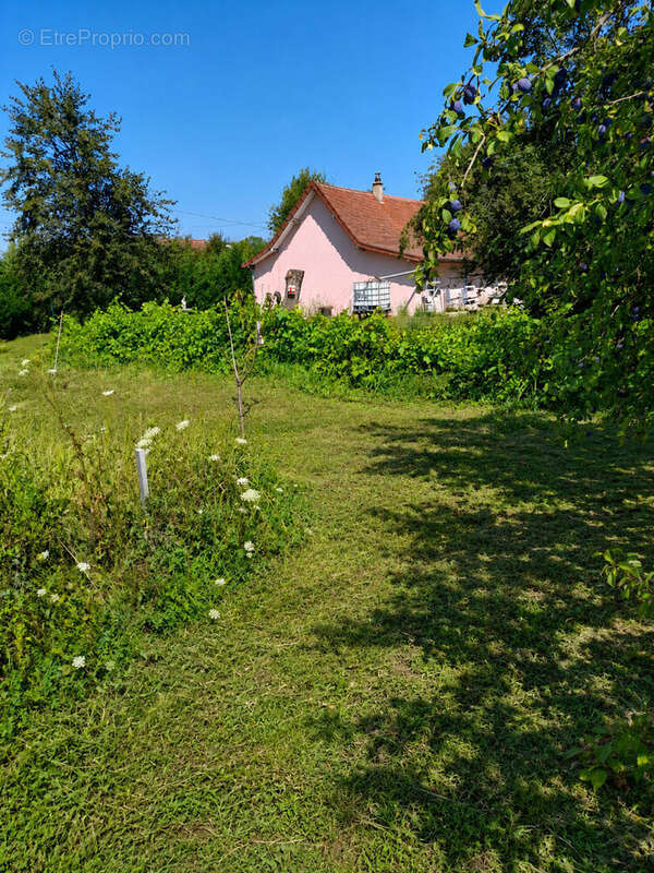 Maison à LOUHANS