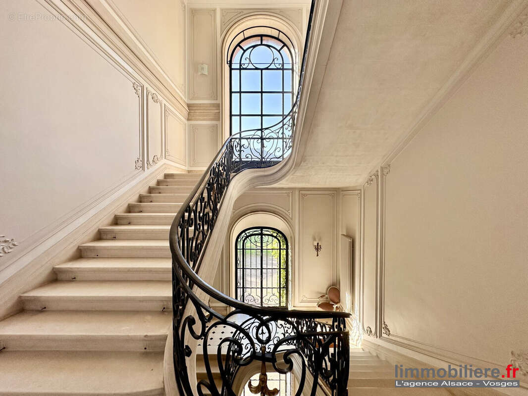 321 m² à Saint-Die-Des-Vosges  - photo 3