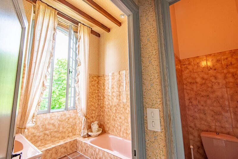 CHATEAU de famille du 17e siècle en très bon état à vendre à GIBEL - photo 26