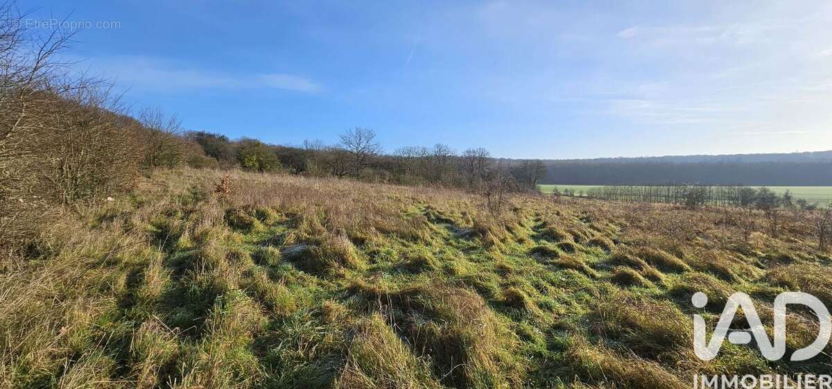 Photo 2 - Terrain à DAMPLEUX