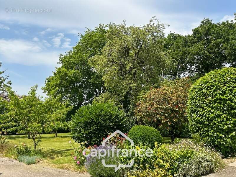 Propriété avec maison, hangar de 360 m², nombreuses dépendances et 6 280 m² de terrain – environnement naturel à kerfourn, à pro - photo 17
