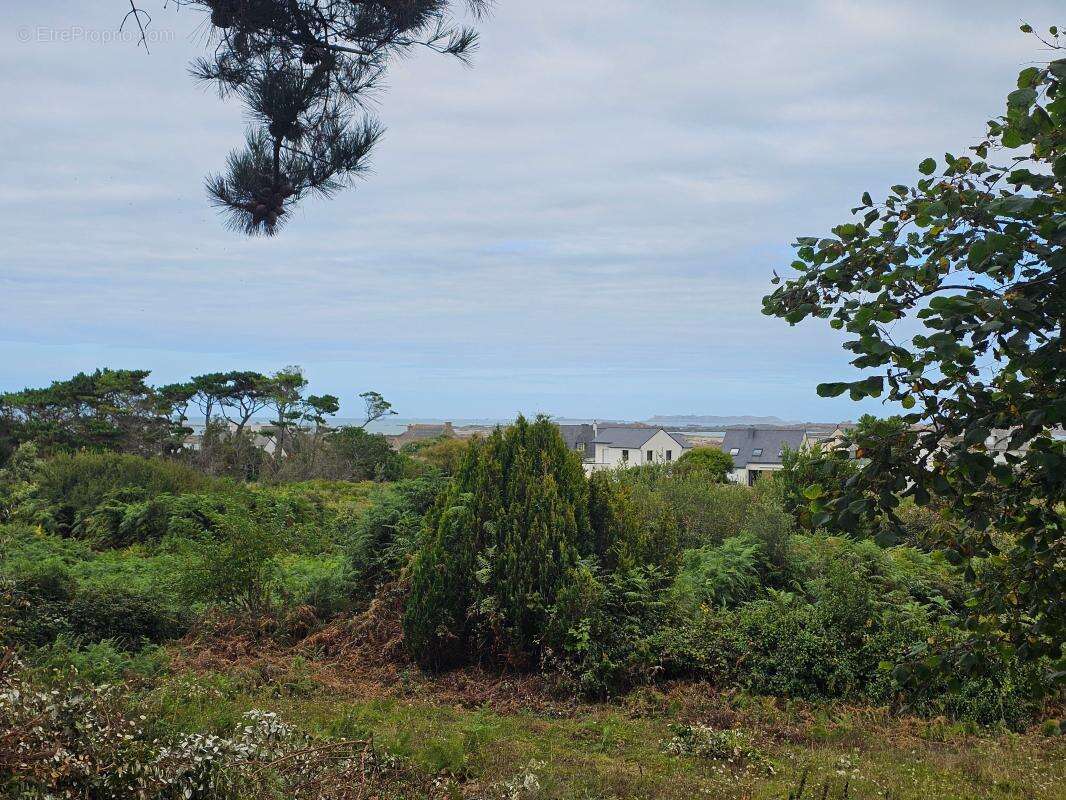 Terrain à TREBEURDEN