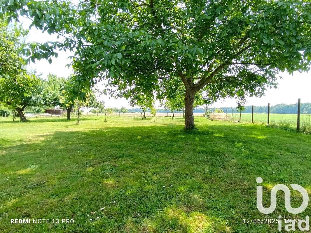 Photo 3 - Maison à ECOLLEMONT