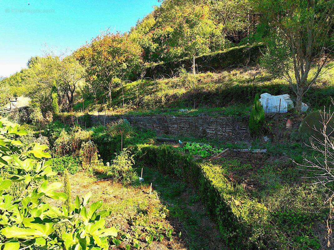 Maison à SAINT-AFFRIQUE