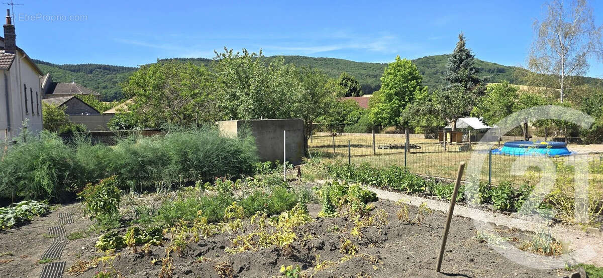Maison 169 m² à Marmagne  - photo 19