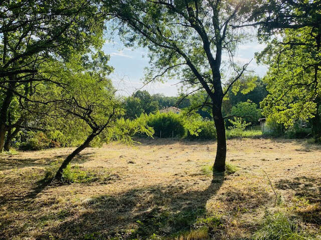 Terrain à UZES