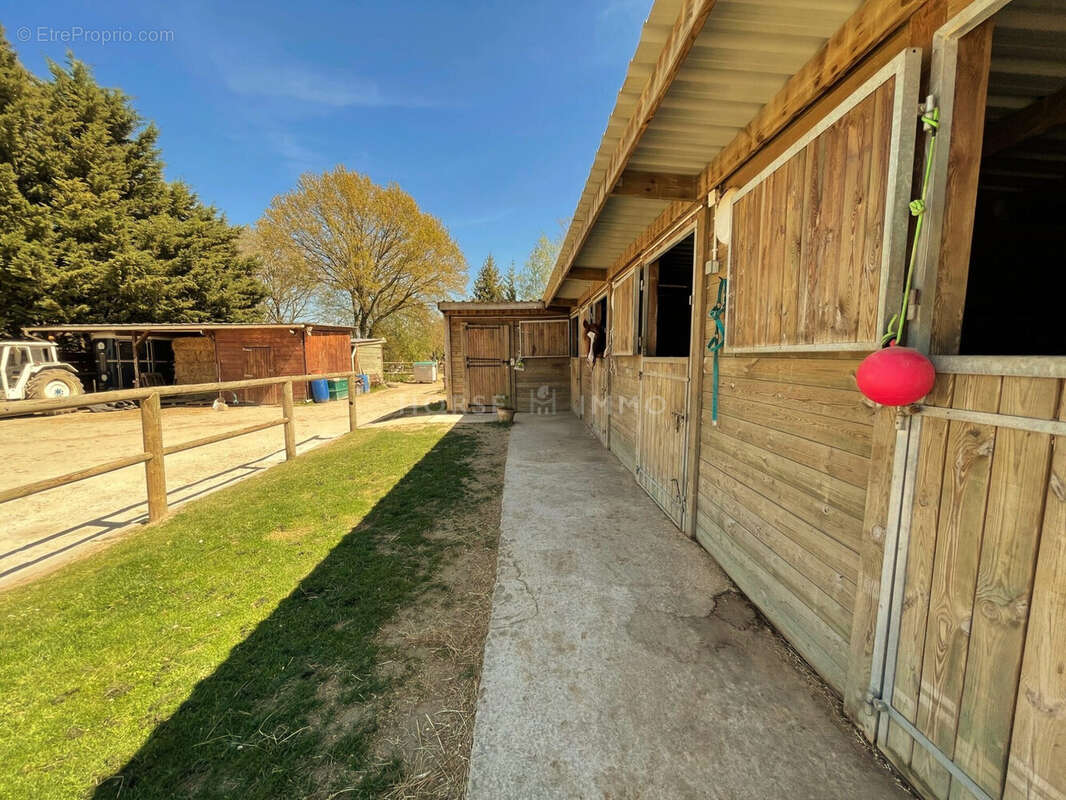 Maison 161 m² à Versailles  - photo 3