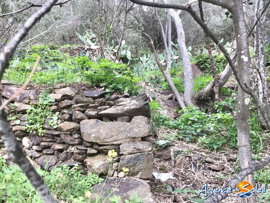 Terrain à BANYULS-SUR-MER