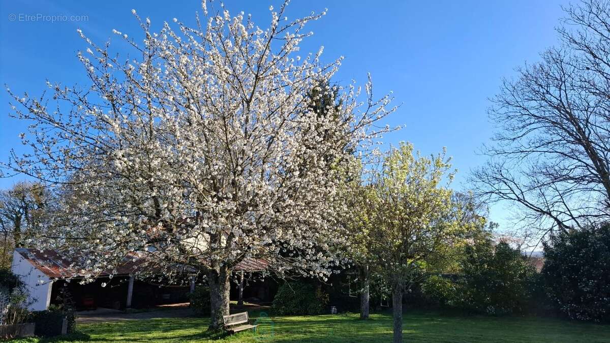 Maison à PRE-EN-PAIL