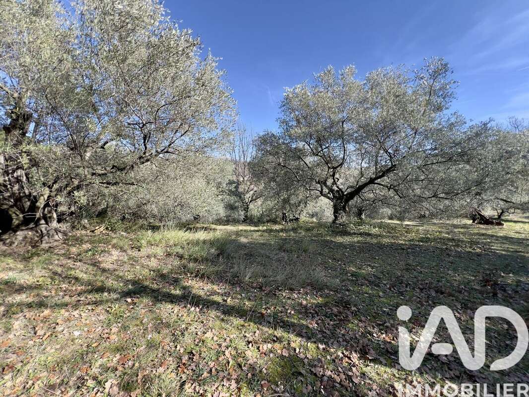 Photo 5 - Terrain à CALLIAN