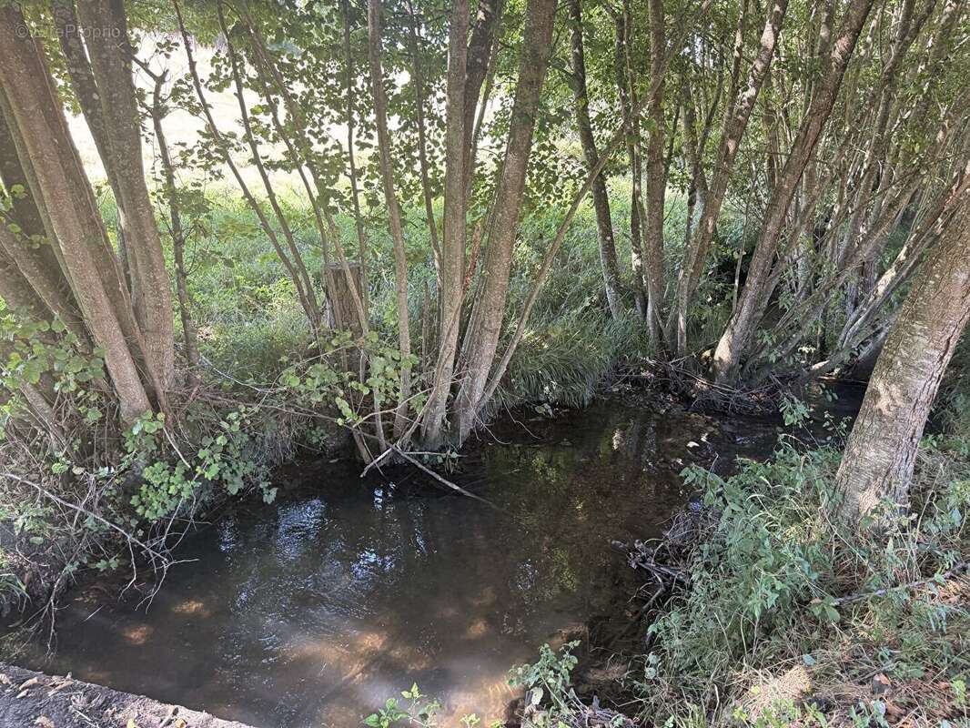 Maison à SAINT-OUEN-LE-HOUX