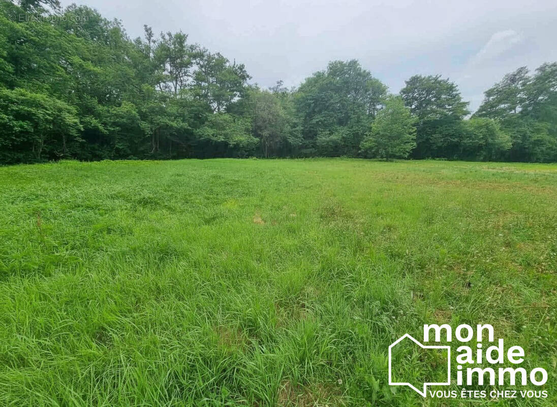 Terrain à FARGUES-SAINT-HILAIRE