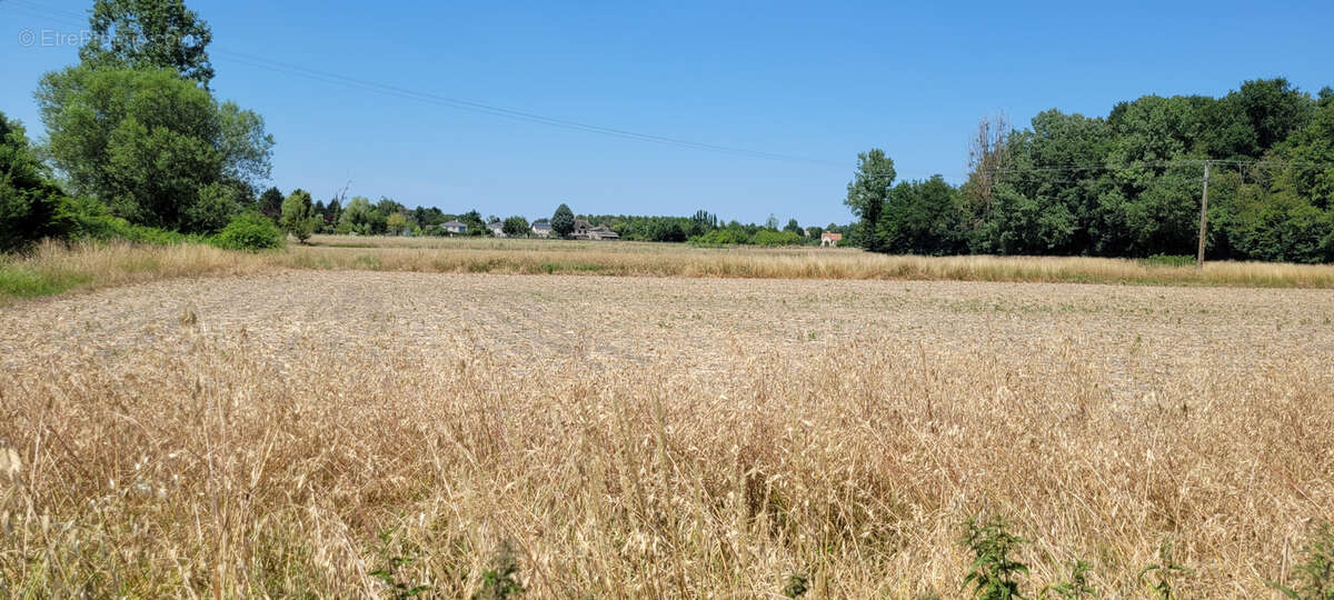Maison à CHAMPIGNY-SUR-VEUDE