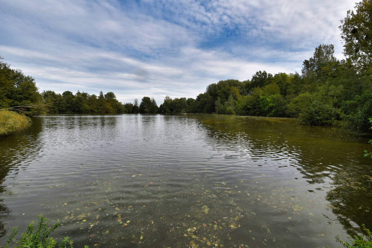 Terrain à FONTAINE-SUR-SOMME
