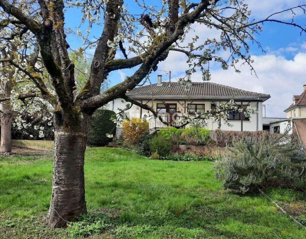 Maison à ECKBOLSHEIM