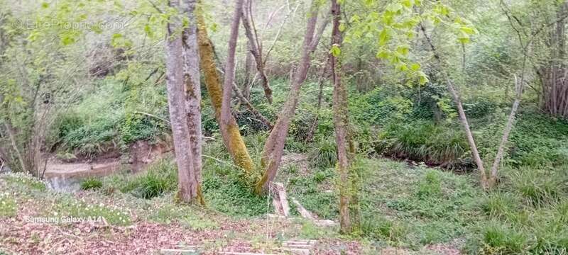 Maison à CASTELJALOUX