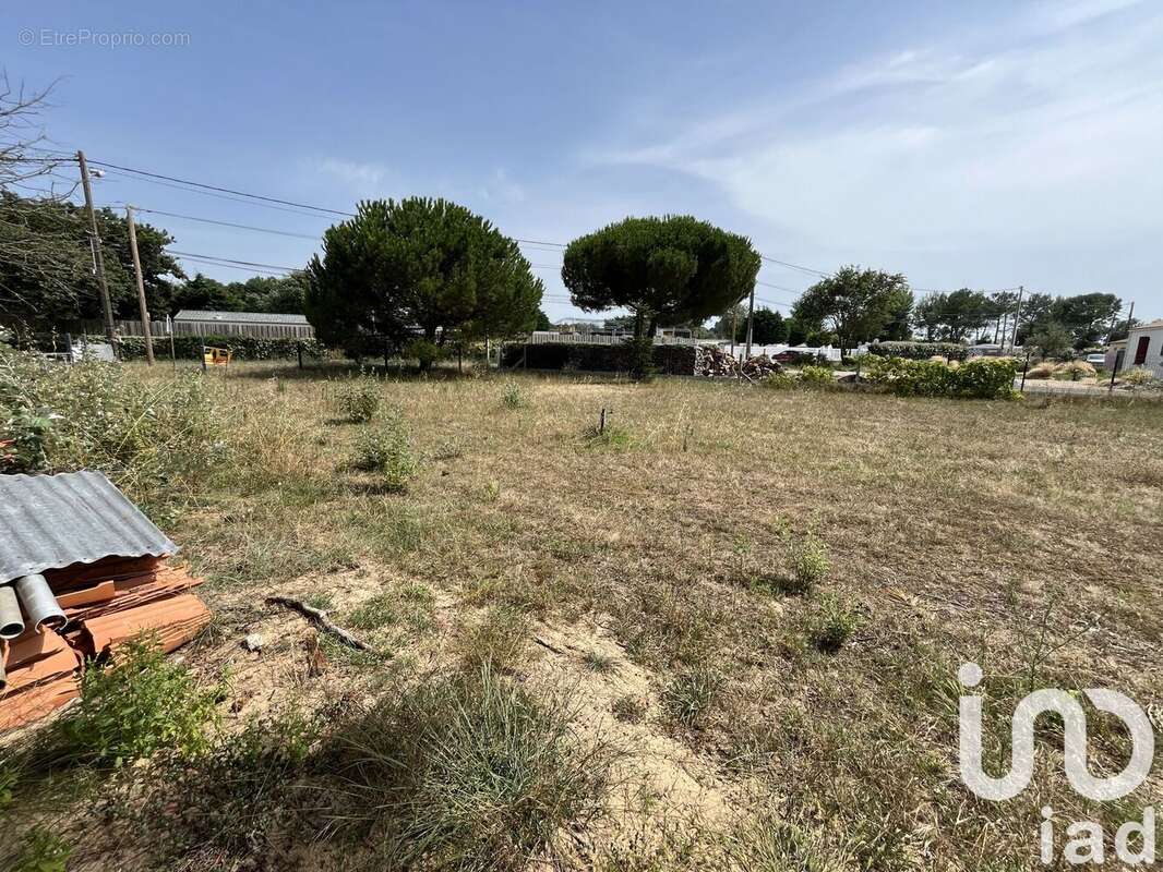 Photo 2 - Terrain à SAINT-HILAIRE-DE-RIEZ