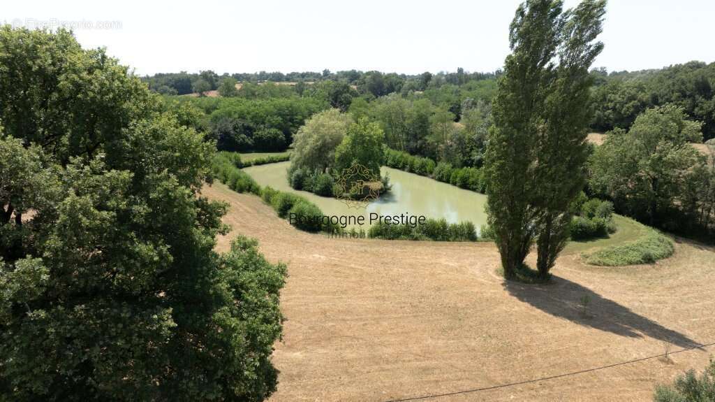 Longere de charme avec etang prive, parc arbore et environnement privilegie - photo 6