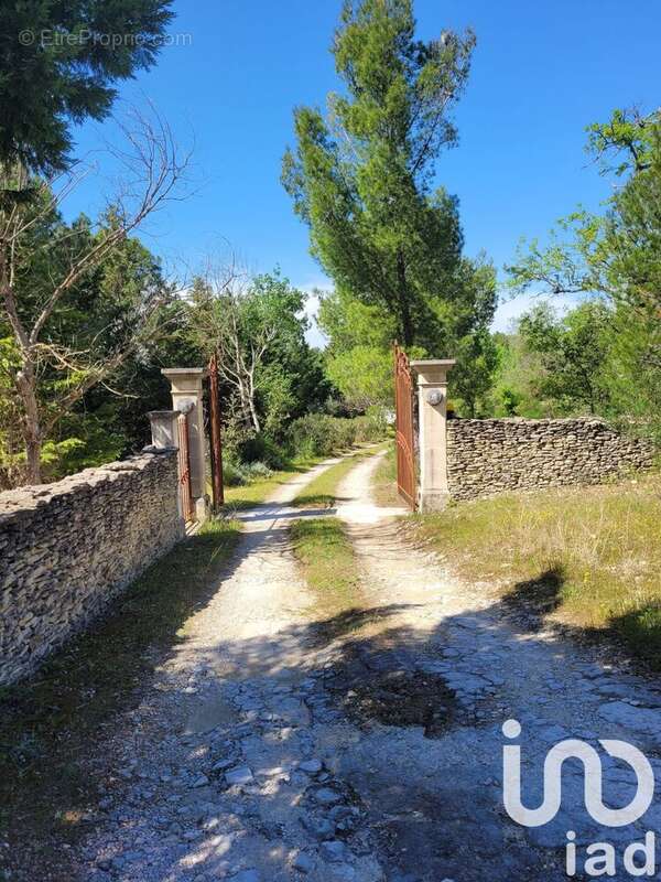 Photo 7 - Maison à L&#039;ISLE-SUR-LA-SORGUE