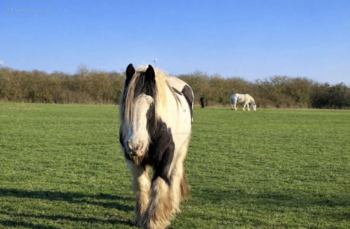 Maison à VERNEUIL-SUR-AVRE