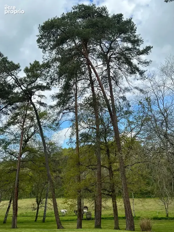 Propriété familiale avec vaste terrain à Loches - photo 14