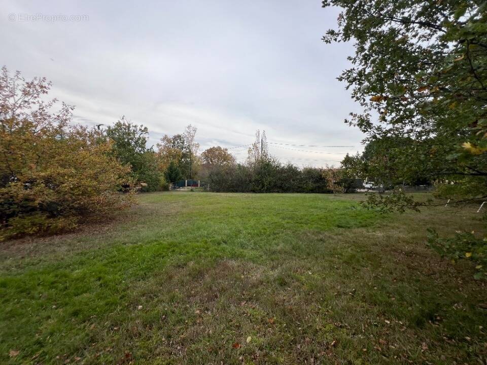 Terrain à MONTBERON