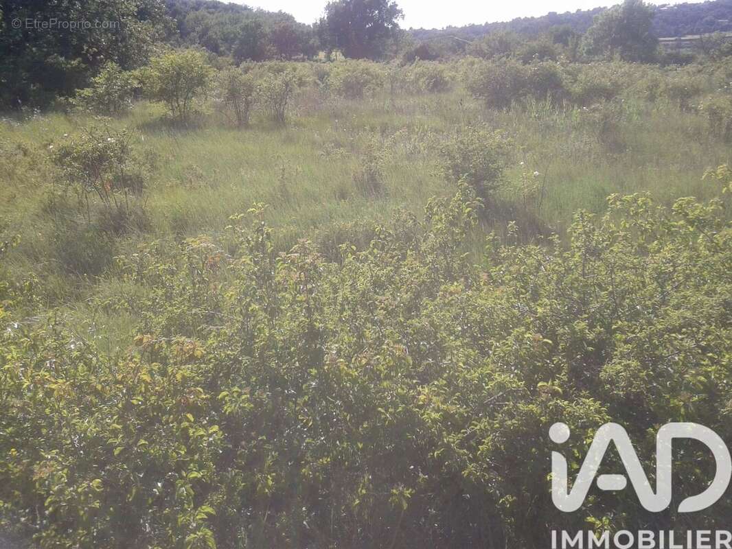 Photo 6 - Terrain à SAINT-JULIEN