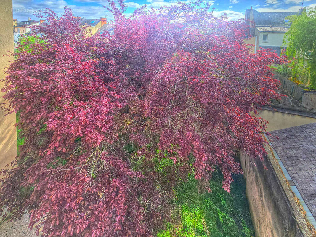 Appartement à LE MANS