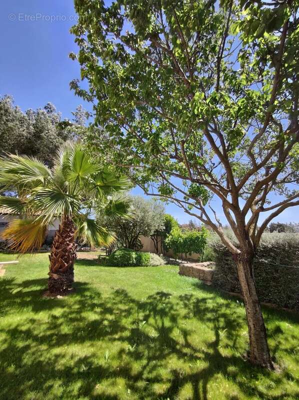 Maison à MIREPEISSET