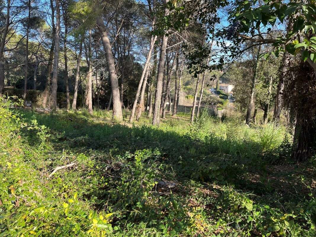 Terrain à MOUGINS